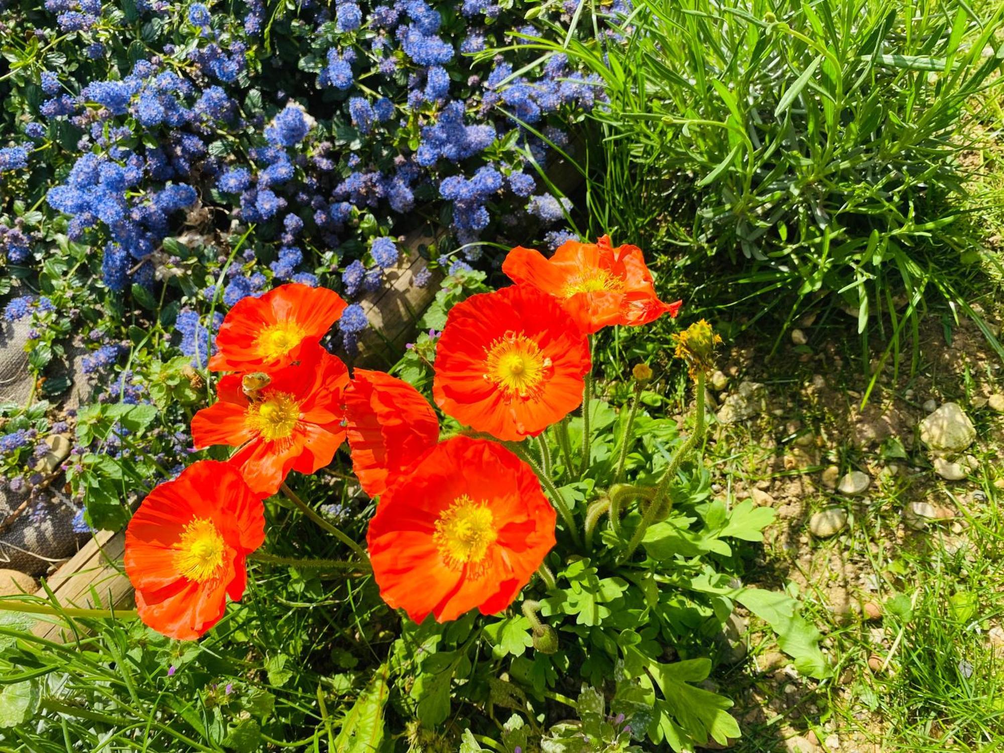 Le Saint Marin Holiday home Chatuzange-le-Goubet